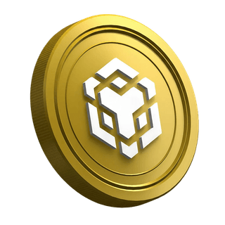 Página do guia para novos traders apresentando a criptomoeda BNB